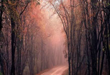 东升国际：湖人赢了！掀翻西部第二！詹姆斯盖帽杀死比赛.