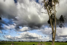 东升国际：湖人赢了！掀翻西部第二！詹姆斯盖帽杀死比赛.